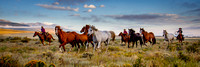 Western/cowboys-cowgirls/windmills/barns
