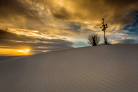 White Sands NP, sunrise, yucca